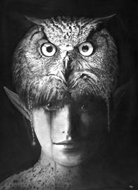 Athena 76X48_1594270452.jpg